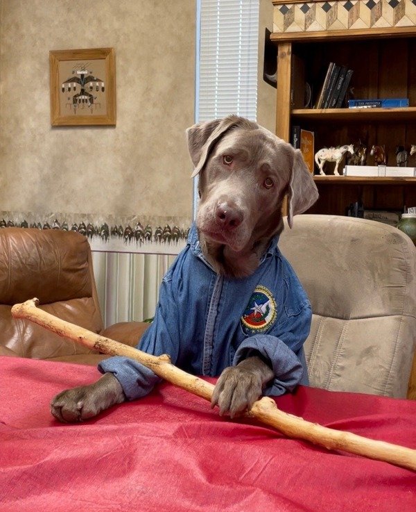 Hoss, K-9 Assistant, Branch Manager, Security, Safety Coordinator