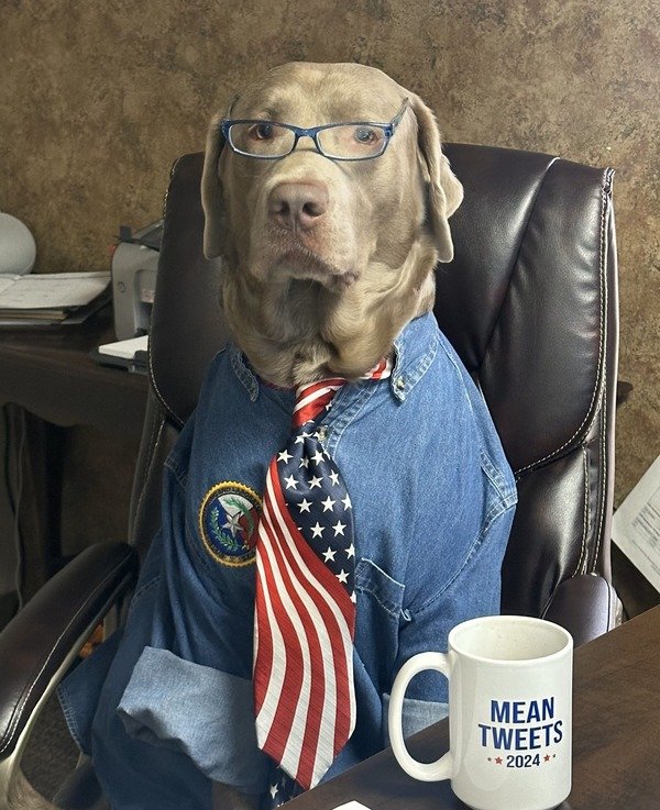 Hoss, K-9 Assistant, Branch Manager, Security, Safety Coordinator